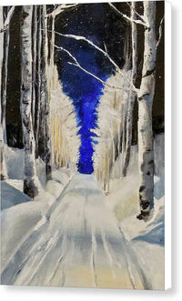 Wintry Birch - Canvas Print