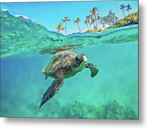 Aloha Honu 1 - Metal Print Metal Print 1ArtCollection