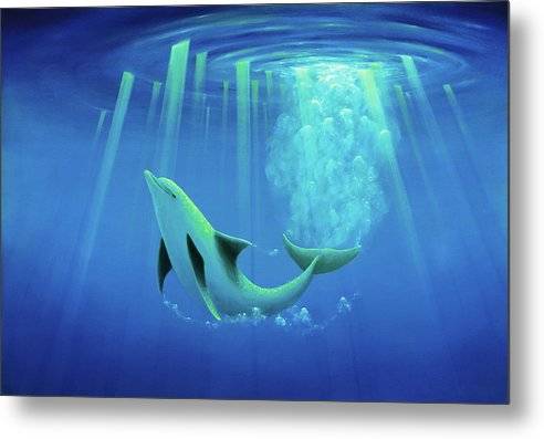 Arc of the Dolphin 1 - Metal Print Metal Print 1ArtCollection