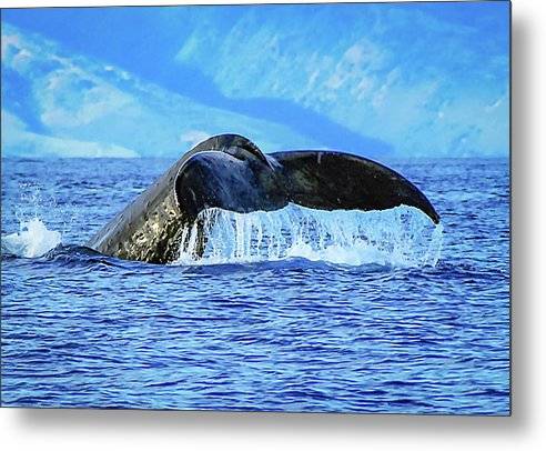 Deep Descent 1 - Metal Print Metal Print 1ArtCollection