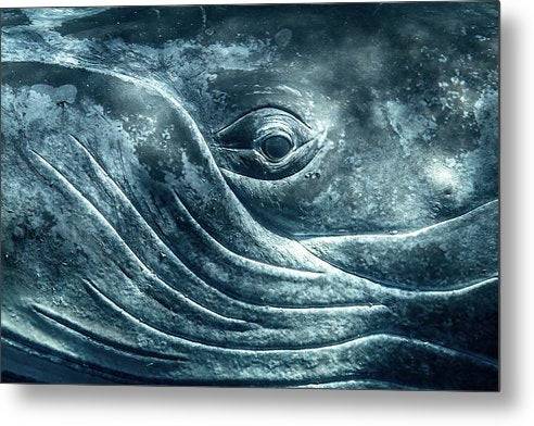 Eye of the Giant 1 - Metal Print Metal Print 1ArtCollection