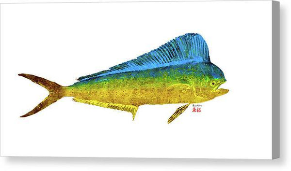 Female Mahi - Canvas Print Canvas Print 1ArtCollection