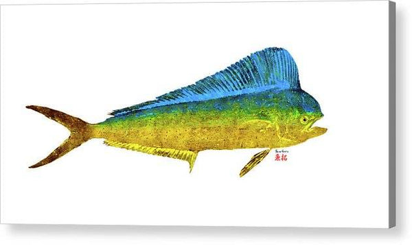 Female Mahi - Acrylic Print Acrylic Print 1ArtCollection