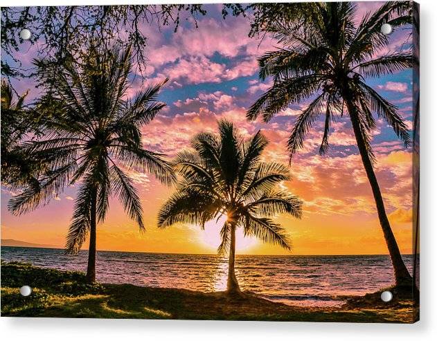 Kihei Sunny Palms 1 - Acrylic Print Acrylic Print 1ArtCollection