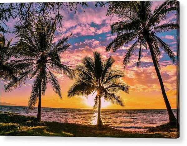 Kihei Sunny Palms 1 - Acrylic Print Acrylic Print 1ArtCollection