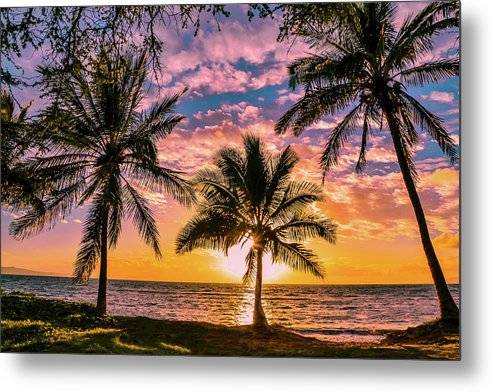 Kihei Sunny Palms 1 - Metal Print Metal Print 1ArtCollection