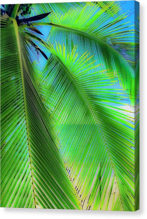 Paradise Found - Canvas Print Canvas Print 1ArtCollection