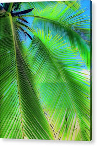 Paradise Found - Acrylic Print Acrylic Print 1ArtCollection