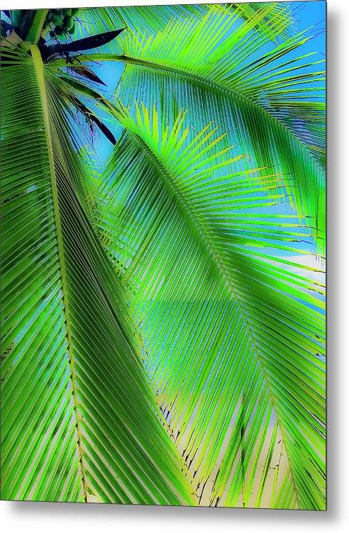 Paradise Found - Metal Print Metal Print 1ArtCollection