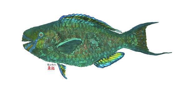 Parrotfish - Art Print Art Print 1ArtCollection