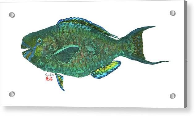 Parrotfish - Acrylic Print Acrylic Print 1ArtCollection