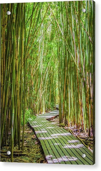 Passing Through Pipiwai - Acrylic Print Acrylic Print 1ArtCollection