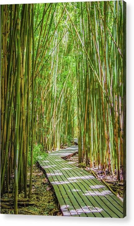 Passing Through Pipiwai - Acrylic Print Acrylic Print 1ArtCollection