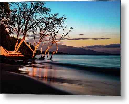 Rooted in Olowalu 1 - Metal Print Metal Print 1ArtCollection