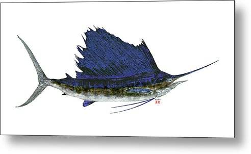 Sailfish 1 - Metal Print Metal Print 1ArtCollection