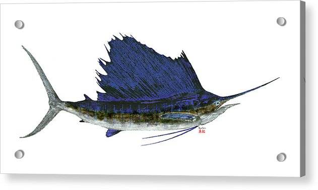 Sailfish 1 - Acrylic Print Acrylic Print 1ArtCollection