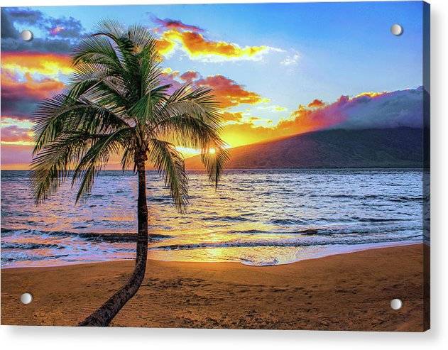 Sugar Sunset 1 - Acrylic Print Acrylic Print 1ArtCollection