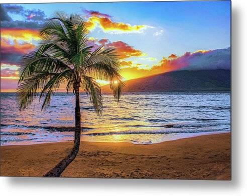 Sugar Sunset 1 - Metal Print Metal Print 1ArtCollection