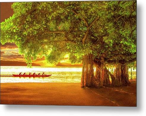 Banyan Beach - Metal Print Metal Print 1ArtCollection