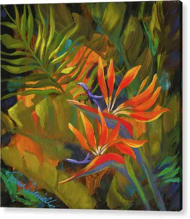 Bird of Paradise - Acrylic Print Acrylic Print 1ArtCollection