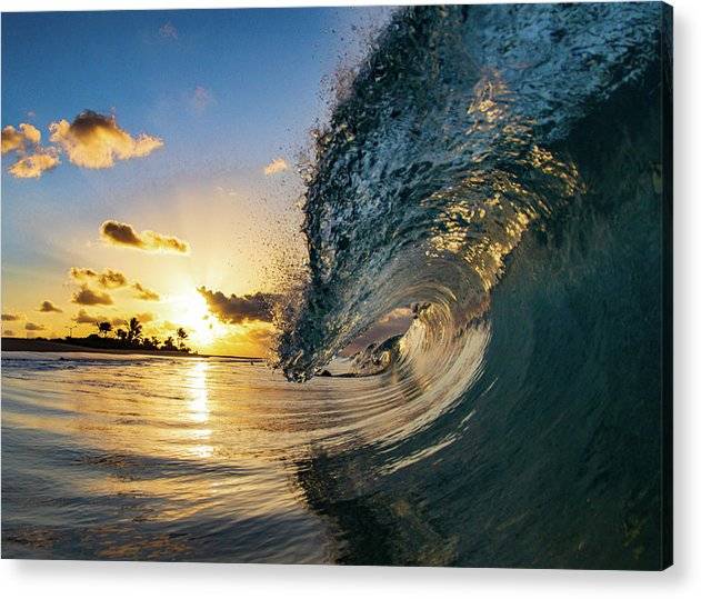 Morning Glory - Acrylic Print Acrylic Print 1ArtCollection