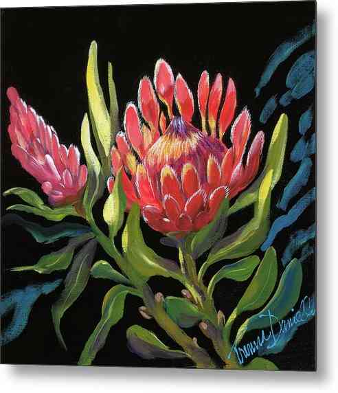 Pink Protea - Metal Print Metal Print 1ArtCollection