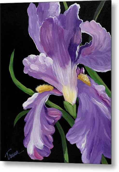 Purple Iris Glory - Metal Print Metal Print 1ArtCollection