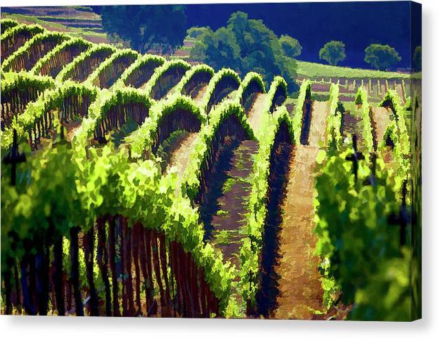 Rolling Vineyard - Canvas Print Canvas Print 1ArtCollection