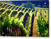 Rolling Vineyard - Acrylic Print Acrylic Print 1ArtCollection