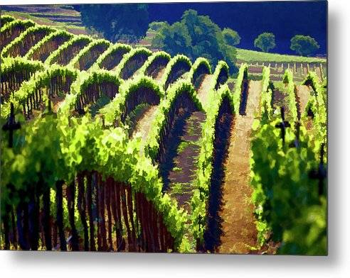 Rolling Vineyard - Metal Print Metal Print 1ArtCollection