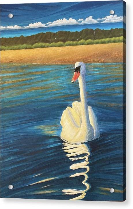 Swan Lake - Acrylic Print Acrylic Print 1ArtCollection