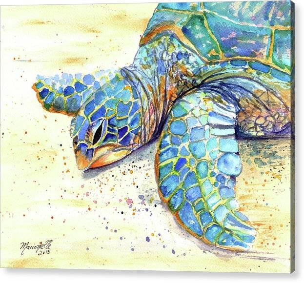 Turtle at Poipu Beach 4 - Acrylic Print Acrylic Print 1ArtCollection