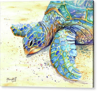 Turtle at Poipu Beach 4 - Acrylic Print Acrylic Print 1ArtCollection