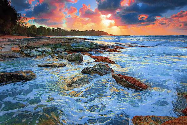 Turtle Bay Sunset - Art Print Art Print 1ArtCollection