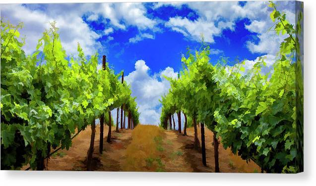 Vineyard Path - Canvas Print Canvas Print 1ArtCollection