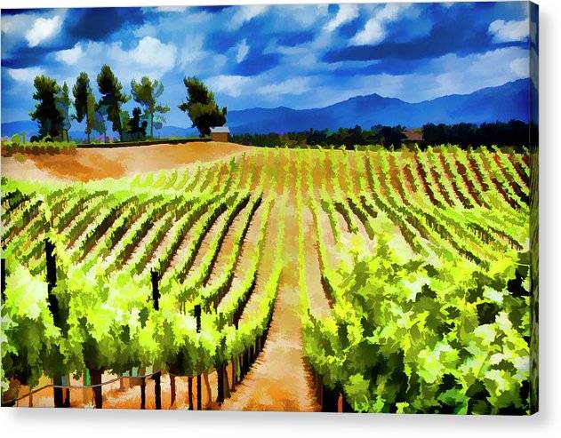 Vineyard Ridge - Acrylic Print Acrylic Print 1ArtCollection