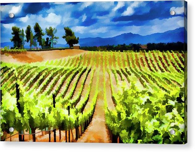 Vineyard Ridge - Acrylic Print Acrylic Print 1ArtCollection