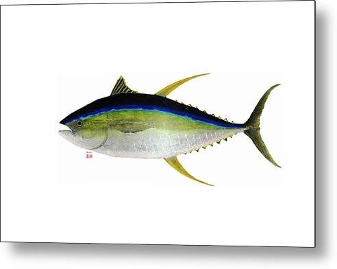 Yellow Fin Tuna - Metal Print Metal Print 1ArtCollection